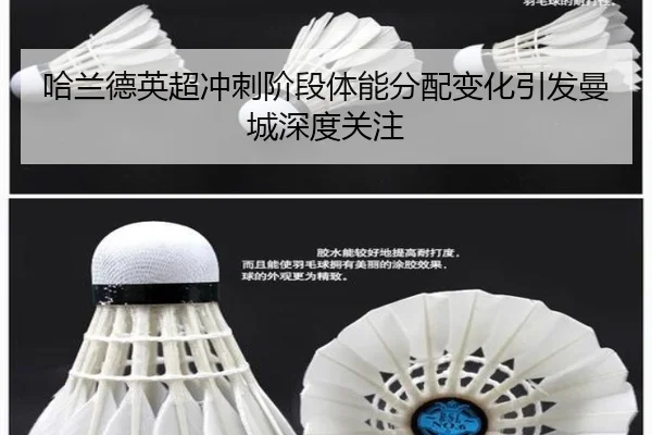哈兰德英超冲刺阶段体能分配变化引发曼城深度关注