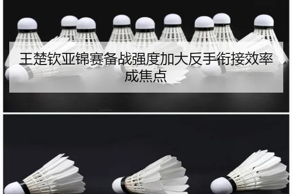 王楚钦亚锦赛备战强度加大反手衔接效率成焦点